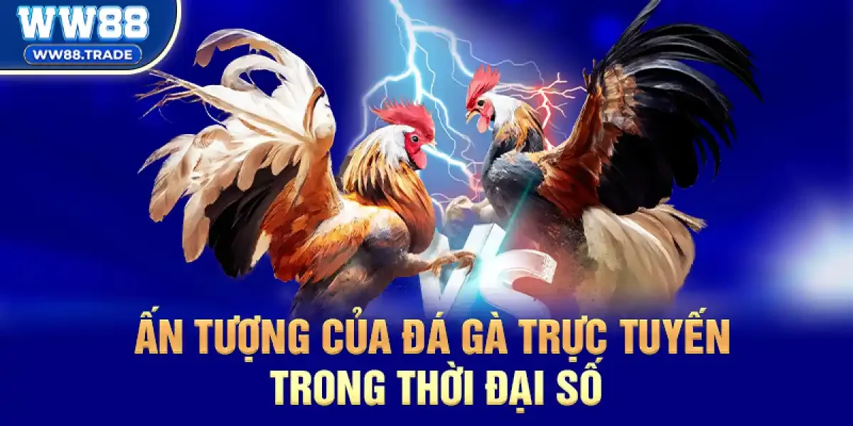 Ấn tượng của đá gà trực tuyến trong thời đại số