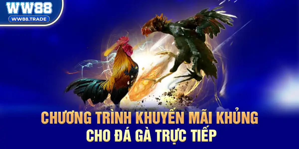 Chương Trình Khuyến Mãi Khủng Cho Đá Gà Trực Tiếp 