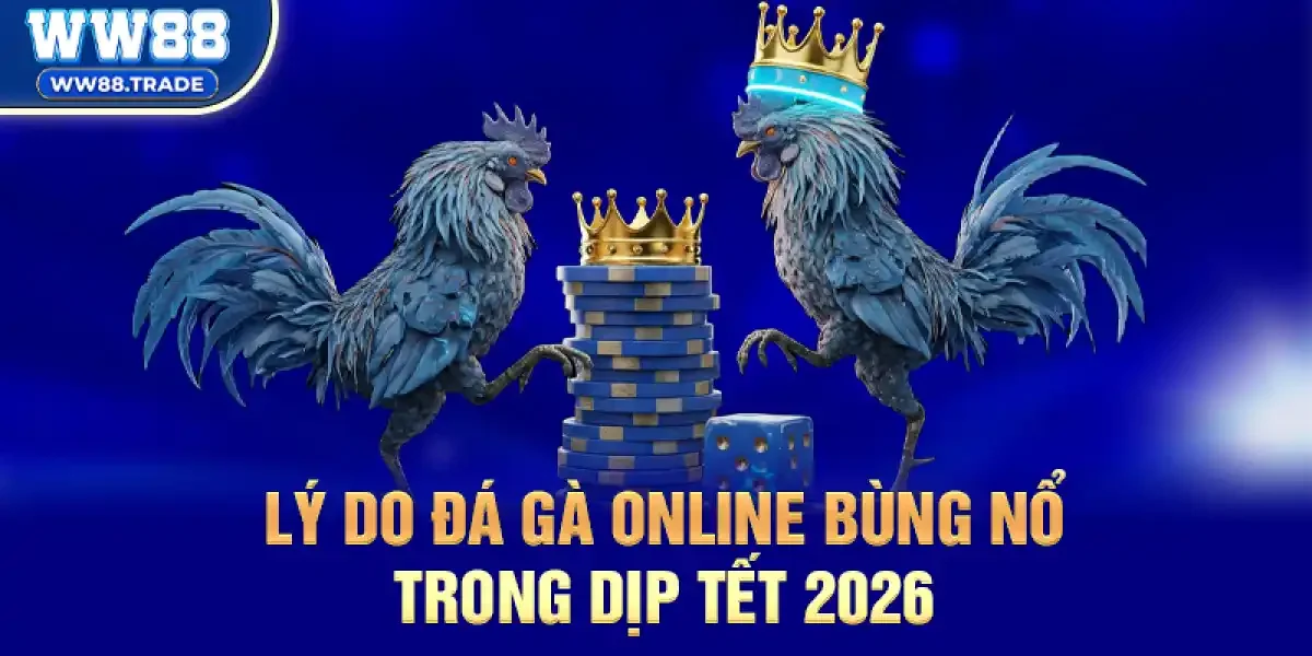 Lý Do Đá Gà Online Bùng Nổ Trong Dịp Tết 2026