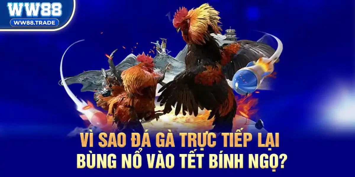 Vì Sao Đá Gà Trực Tiếp Lại Bùng Nổ Mạnh Mẽ Vào Tết Bính Ngọ 2026?